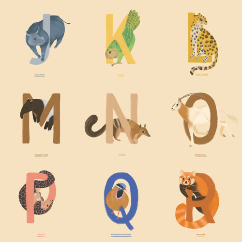 The full animal alphabet! ✨Which letters are your favourite? I really love the S, L, P, and N 
