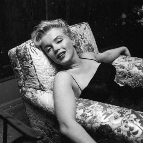 dicaprio-diaries: marylin