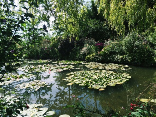 vangoghpal: Monet’s house in Giverny, France.