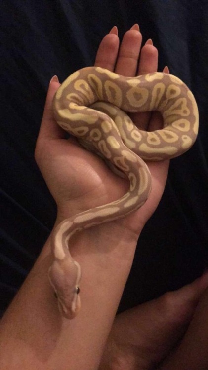 alayshallifts:Beautiful Soba.