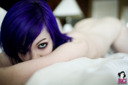 sglovexxx:  Dixy Suicide