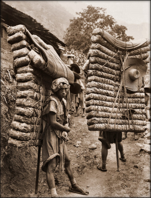 historicaltimes:Men Carrying Tea Bricks on the Ancient Tea Horse Road in Sichuan China, 1908 by Erne