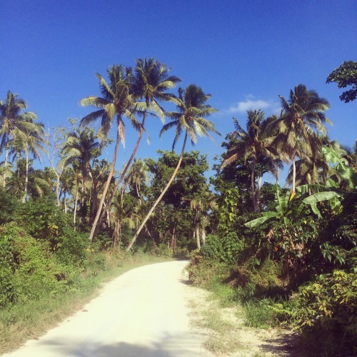 maddoverseas:  Sweet quad bike drive from Port Vila to Eratap, through verdant bush and little villa