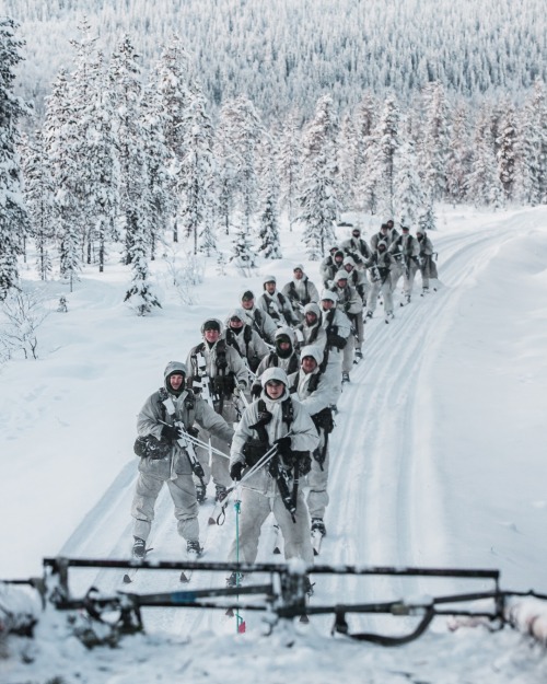 Swedish K4 regiment (Norrland Dragoon Regiment).