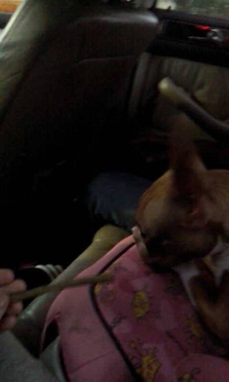 XXX Hotboxing with Bella :) photo