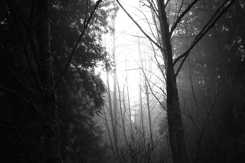 hipotermia00.tumblr.com/post/62345630095/