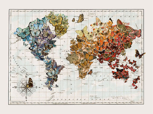 Travel with me.  Let the butterflies if this map fill you as we pass through all the places you want to see.  Pillaged