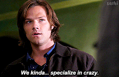 darlingsashi:  I mean, come on, we hunt monsters! What the hell? I mean, normal people, they see a monster and they run. But not us, no no no. 