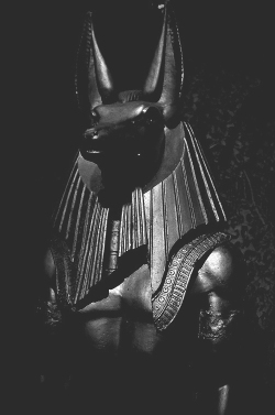 kardassianpussy:  Anubis 