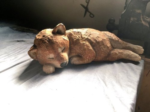 Peaceful sleeping shiba inu pup, wooden sculpture by@hashimotomio OP really has a great eye to catch