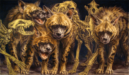 coyoteface: gnoll-train: Striped Hyena Clan by Deborah Simon rotdemon