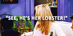 transponsters:  FRIENDS: most memorable quotes [part 1] 