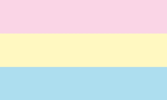 An image of a blank colour picked pan pride flag.