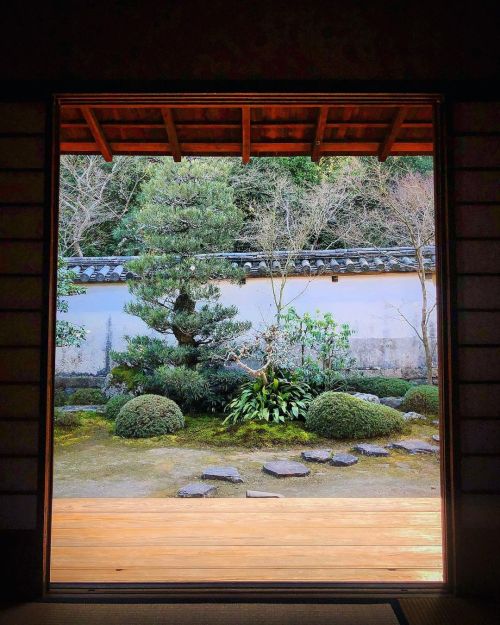 ＼特別拝観中／ 酬恩庵一休寺 虎丘庵庭園 [ 京都府京田辺市 ] Shuonan Ikkyuji Temple &ldquo;Kokyuan&rdquo;, Kyoto #一休さん こと #一休宗純 