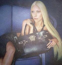 ladyxgaga:  Gaga for the Versace Campaign.