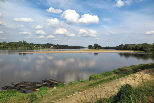 ambermaitrejean: Confluence of the Vienne and Loire rivers. Candes-Saint-Martin. France. Photos by A