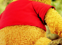 andrew-jason:onlypooh:it’s so much friendlier with two.This is the most precious thing in the world
