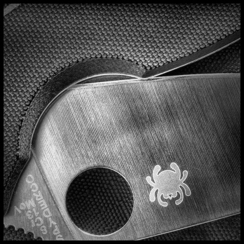 edcspot:  #Spyderco #tenacious. #knifeporn 