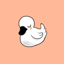 duckhymn avatar