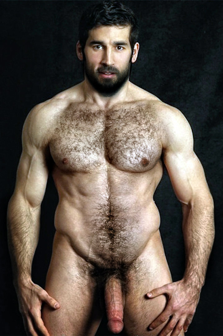 beareric:  Hung Muscle Bear