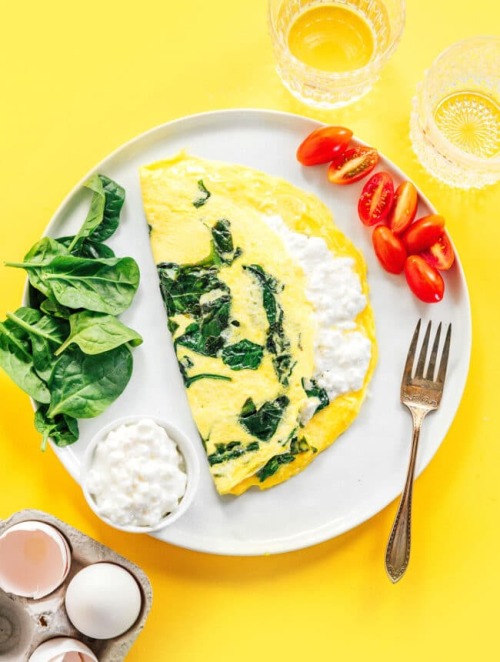 Cottage Cheese Omelette