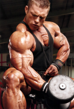 Flex Lewis