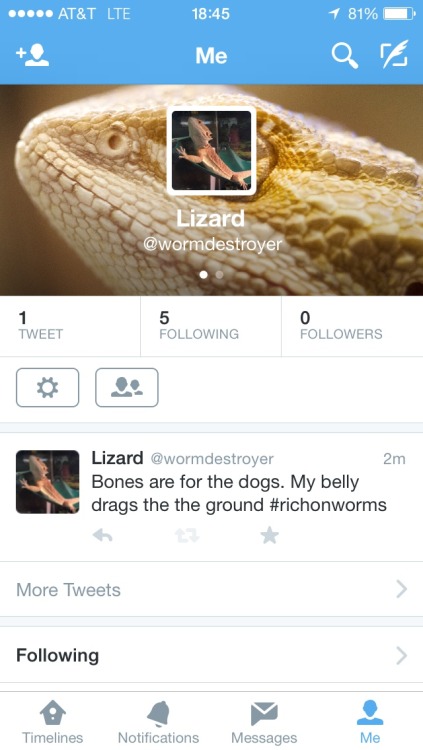 Lizard has a twitter! Go follow Twitter.com/wormdestroyer