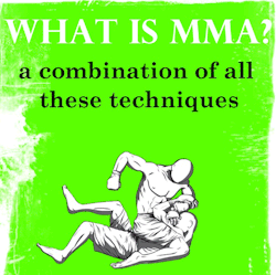 feiyueloplainshoes:  What is MMA? All this