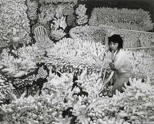 flowuriist: Compulsion Furniture  (c. 1964) Yayoi Kusama reclining on Accumulation No. 2 (1962) 