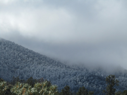 A Dusting of Snow on the MountainApr. 12, 2022