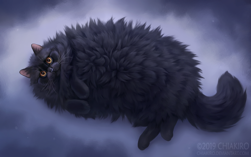 chiakiroart:  A thundercloud!