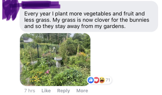 headspace-hotel:Mom sent me a facebook link to a PBS news hour post about how the anti-lawn movement is growing. The vast majority of the comments on it were stuff like this: Most people are on our side here, even the so-called “boomers.”