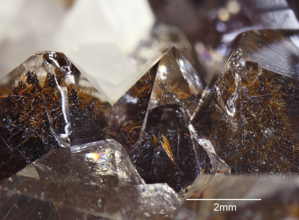 ifuckingloveminerals:  Quartz, Magnetite, Hematite Otamo dolomite quarry, Siikainen,