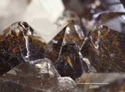 ifuckingloveminerals:  Quartz, Magnetite, Hematite Otamo dolomite quarry, Siikainen, Western and Inner Finland Region, Finland