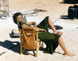 concravatta:    Sophia Loren relaxes on the