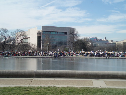 Political Demonstration on the National Mall – Frozen Reflecting Pool in the Foreground, Natio