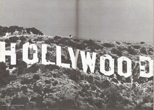 Hollywood.