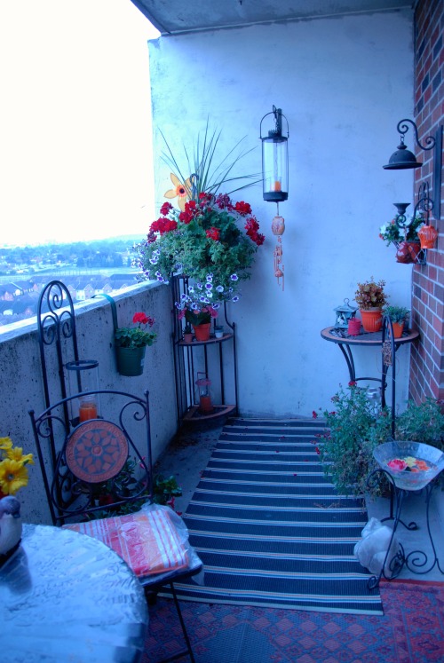 girlpanties:my aunt’s balcony is a dream aw this is cute