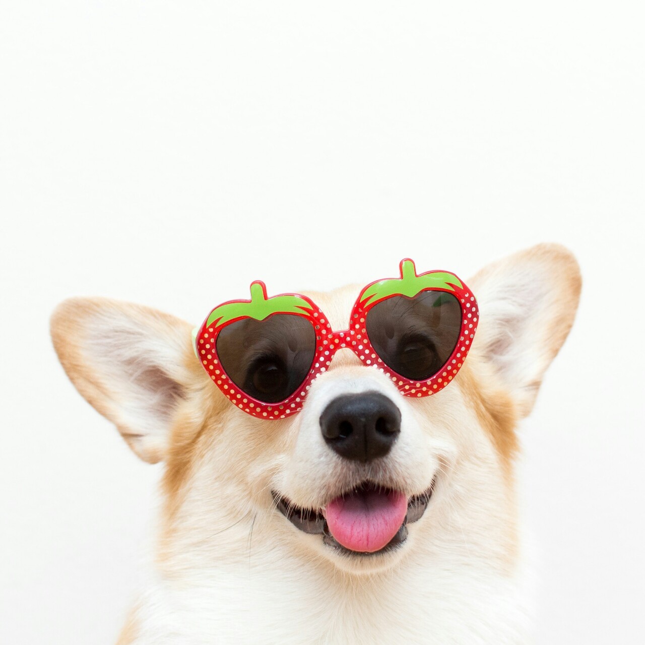 trinketbaby:  I love you berry much