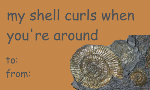 verybadpaleontologyjokes: happy palentines day paleontology edition bonus geology one