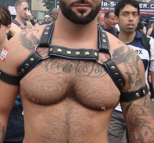 hyper-masculine:    ► HYPER-MASCULINE ♂ ◄ [page]♂ ♂♦ Hyper-Masculine ARCHIVE ♦ [all pics]    