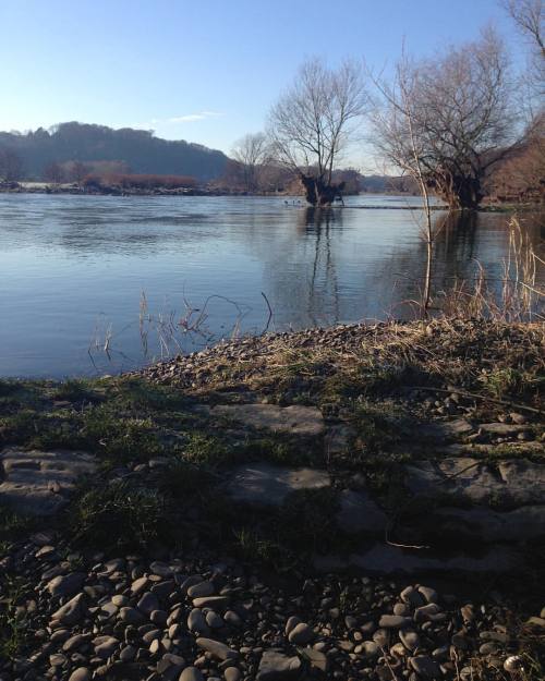 I’d such a beautiful walk today at the river. I visited some alders for my ogham-study. Just m