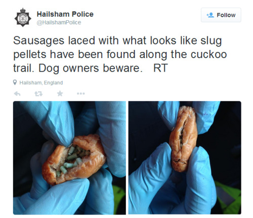 samuelvasnormandy:  cat–beard:  tigerskinsandotherthings:WARNING to anyone in East Sussex, UK. Police have found sausages laced with slug pellets. A number of dogs have already suffered from suspected deliberate poisoning in the Brighton area and so