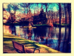 Spring is here. Small lake close to my house