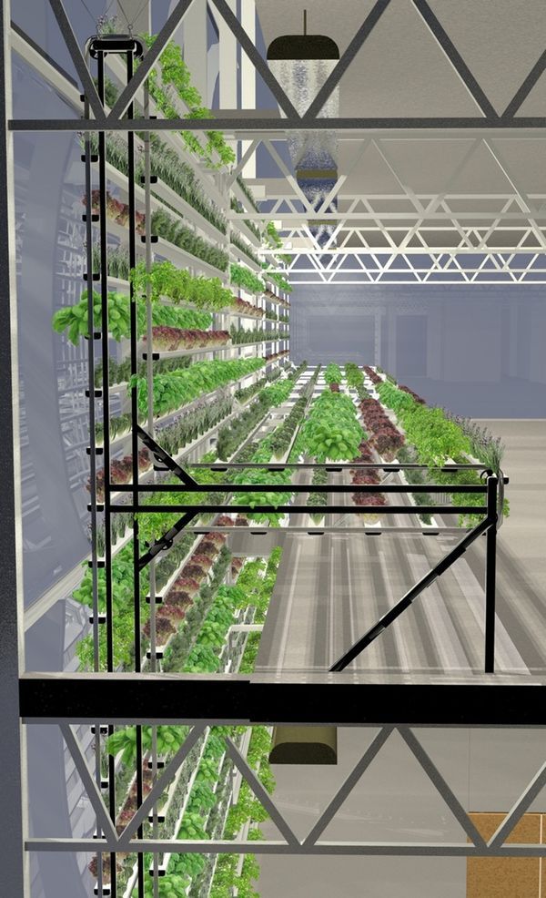 theverge:  Vertical Harvest places plants on carousels that keep them moving the