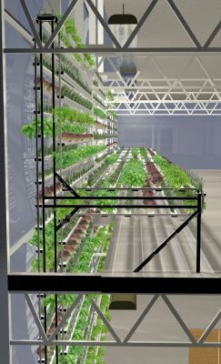 theverge:  Vertical Harvest places plants