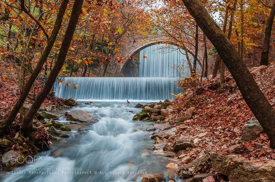 superbnature:  Autumn in Greece by GeorgePapapostolou