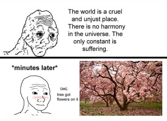 tinkkles:tinkkles:Ppl are reblogging this again thank u to the sun for this trees