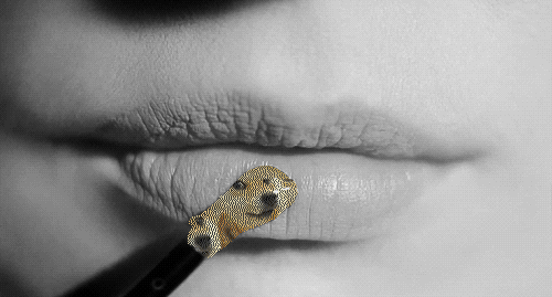 unfollovving:  spagghetto:   The latest trend in fashion is Shibe-Doge, by Revlon