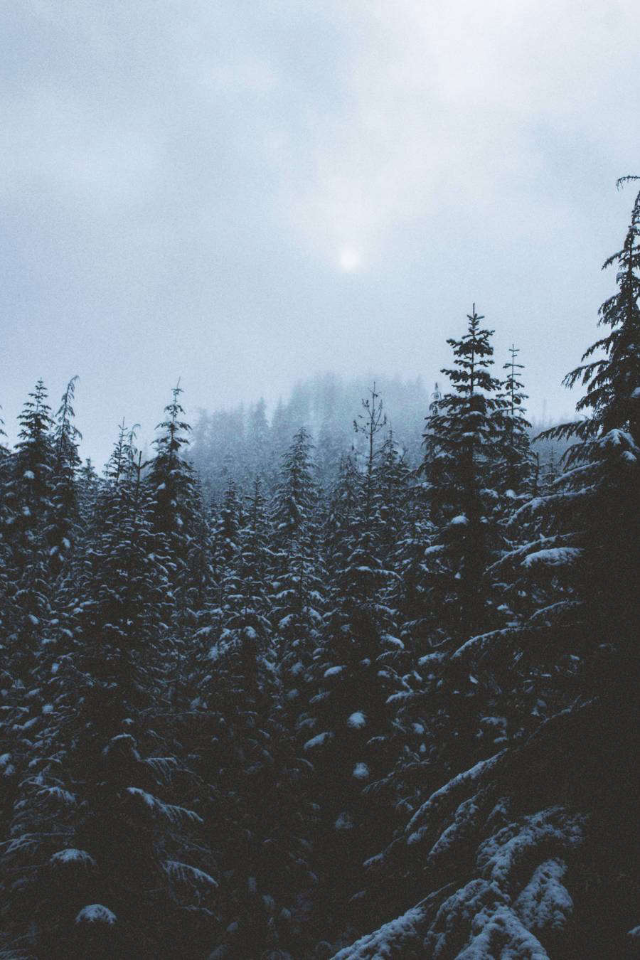 banshy:  Cheakamus Lake // Salvador Boissett 